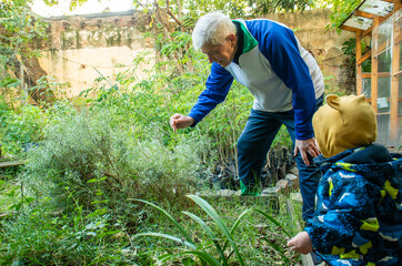 A man and a child are looking at plants in a garden