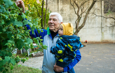 A man and a baby are holding a plant
