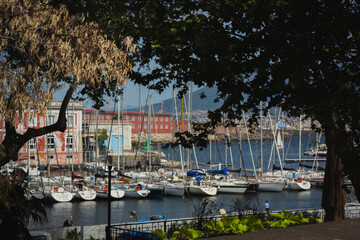 A peaceful scene of docked sailboats at Naples harbor, framed naturally by trees, with the...