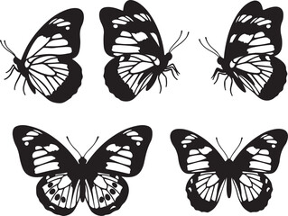Naklejka premium Monochrome Butterfly Collection Delicate Wing Patterns and Stylized Shapes Presenting a Study in Contrasting Designs and Serene Beauty