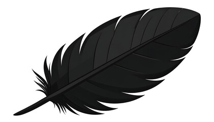 Black feather with isolated vector.