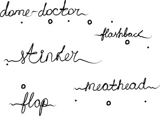 Dome-doctor, flap, flashback, stinker, meathead. Phrases handwritten, set. Modern calligraphy text. Isolated word, lettering black new