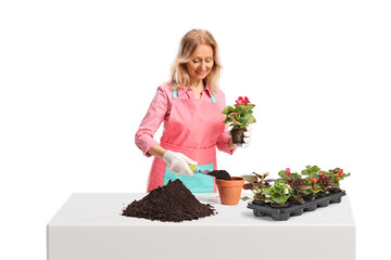 Female gardener planting flowers in a pot