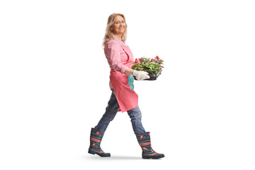 Woman gardener carrying a tray with flowers
