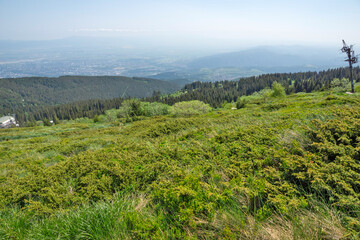 Fototapeta premium Spring Panorama of Vitosha Mountain, Bulgaria