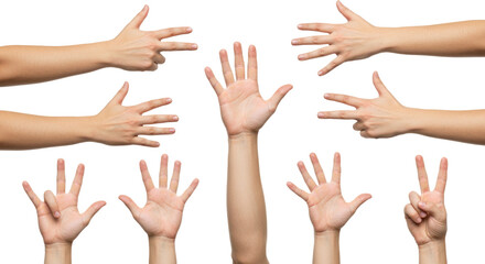 Human Hands Displaying Various Gestures on White Background.