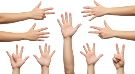 Human Hands Displaying Various Gestures on White Background.