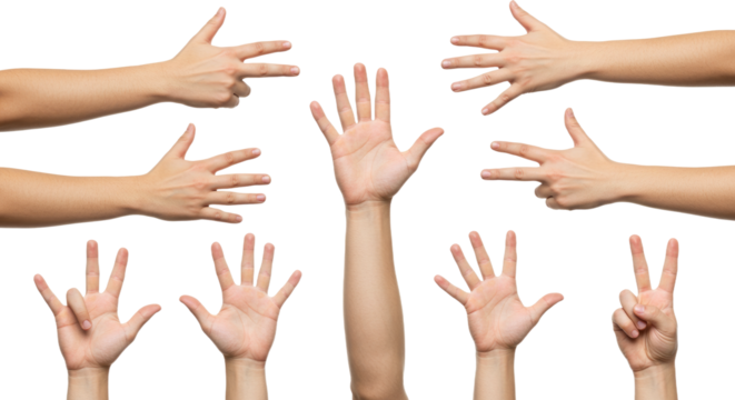 Human Hands Displaying Various Gestures on White Background. - Powered by Adobe