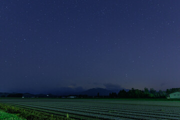 星と畑