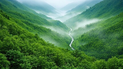 Lush green valley with winding river shrouded in mist beneath towering mountains