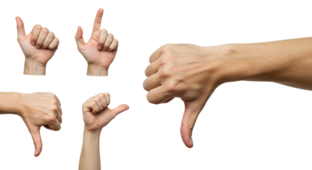 Collection of Human Hands Showing Various Gestures Thumbs Up Thumbs Down Pointing and Call Me.