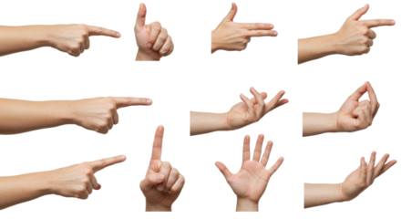 Diverse Hand Gestures on White Background Pointing Thumbs Up and More.