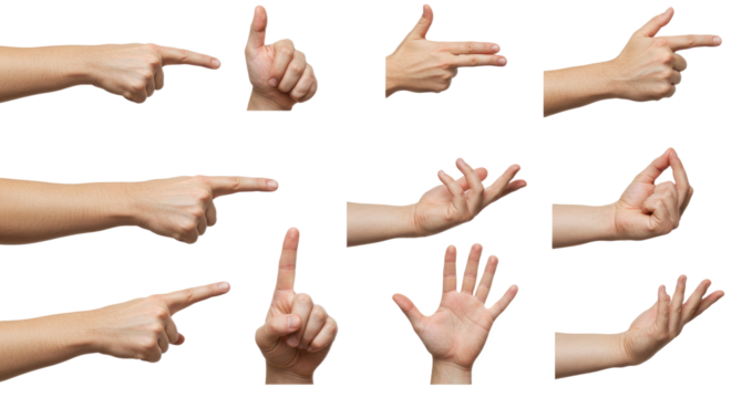 Diverse Hand Gestures on White Background Pointing Thumbs Up and More.