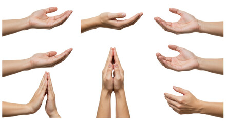 Diverse Hand Gestures Open Palms Praying Hands Isolated on White.
