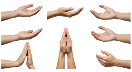 Diverse Hand Gestures Open Palms Praying Hands Isolated on White.