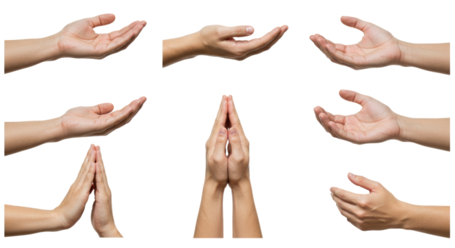 Diverse Hand Gestures Open Palms Praying Hands Isolated on White.