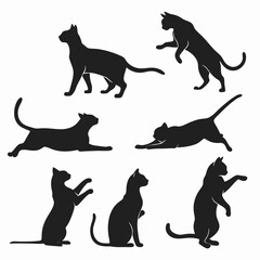 Cat Silhouettes Collection on White Background