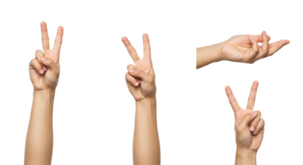 Human Hands Displaying Various Gestures on White Background 1.