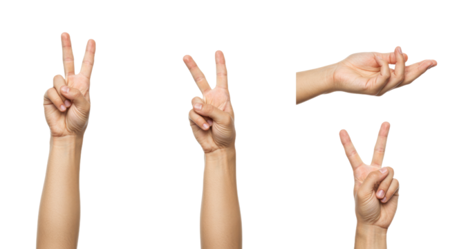Human Hands Displaying Various Gestures on White Background 1.