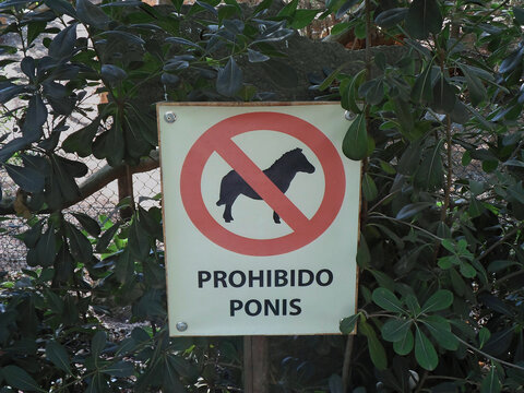 No toy pony riding prohibition sign with crossed-out horse silhouette and text &ldquo;PROHIBIDO PONIS&rdquo;  placed in leafy outdoor area, among green foliage in zoo park setting, Santa Eug&egrave;nia, Mallorca.