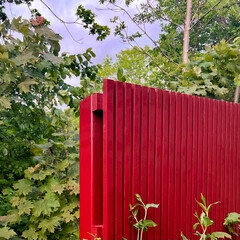 Corner view of a tall red wooden fence in front of dense green trees. The composition captures a...