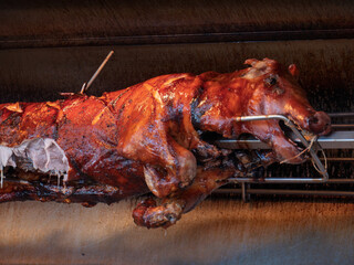 Roasted Whole Pig Hanging on a Spit