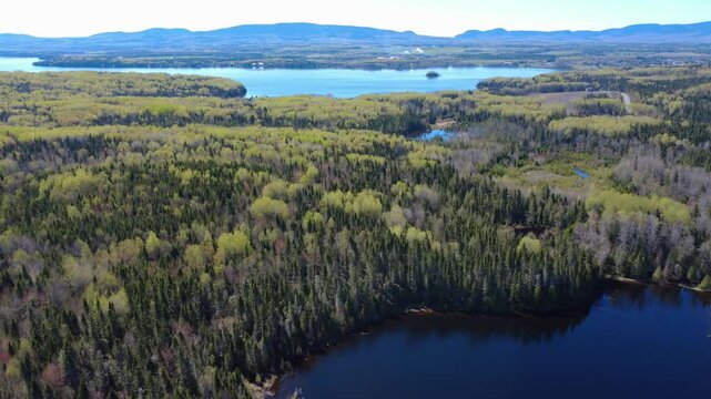 Panoramic aerial view of Lake Matapedia surrounded by the shades of green forests and lush mountains. Matapedia Valley, Quebec, Canada, 2025.