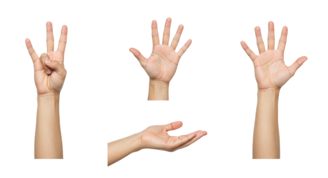Human Hands Posing on White Background Counting Open Palm.