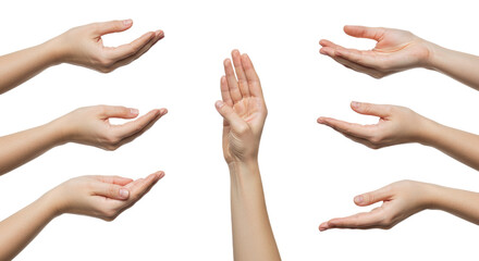 Multiple Open Hands in Various Positions Showing Generosity.