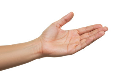 Open Human Hand Palm Up Light Skin Tone Isolated on White Background.