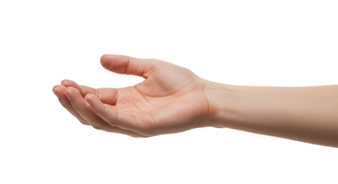 Open Hand Gesture Caucasian Skin Tone Isolated on White Background.