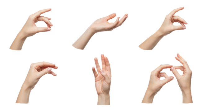 Six Isolated Caucasian Hands in Various Poses on White Background.