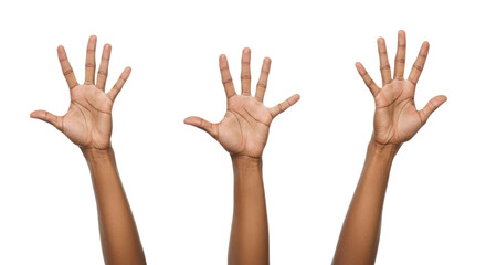 Obraz premium Three DarkSkinned Hands Raised Upward on White Background.