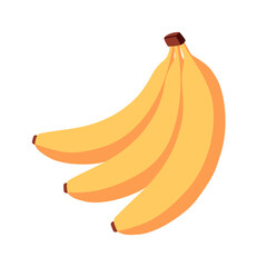 Ripe yellow bananas with curved shape and smooth peel, isolated on white background. For tropical, healthy food, island, vacation, card and summer concepts. Flat vector cartoon illustration.