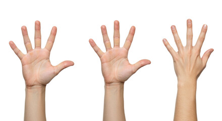 Three Open Human Hands with Fingers Extended on White Background.