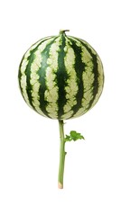 A creative and unique image of a watermelon appearing as a flower on white background