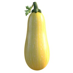 A freshly harvested butternut squash with green stem and leaf isolated
