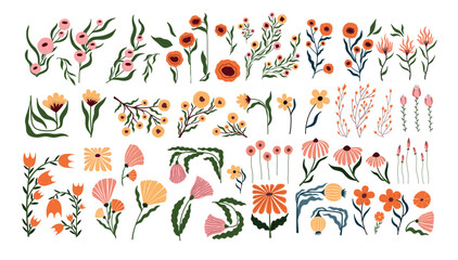 Hand drawn floral clipart bundle with whimsical botanical elements. Cute wildflowers, leaves, and blooming branches perfect for wedding invitations, packaging, nursery decor, and design projects.