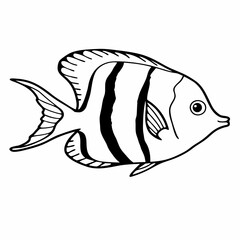 Professional line art illustration of a striped fish on white background