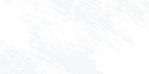 Abstract blurred background. The shadow reflection of leaves and gray light lines. on the white surface concrete wall. for wallpaper, backdrop and design.