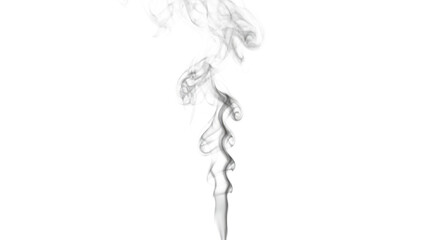 Fototapeta premium Abstract Grey Smoke Swirls on White Background 1.