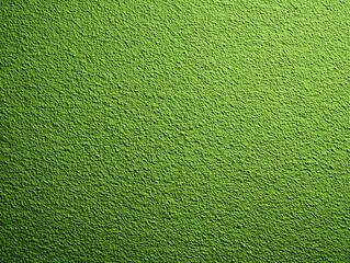 Fototapeta premium Textured Green Surface Close-Up