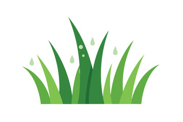 Vibrant Green Grass Blades with Dew Drops Nature's Freshness