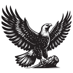 eagle vector illustration