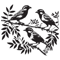 birds on a branch