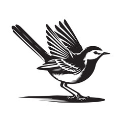silhouette of a bird