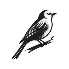 vector illustration of a bird