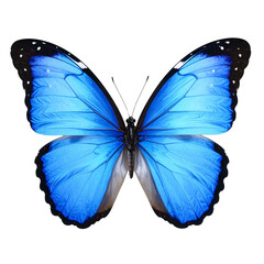 Obraz premium Watercolor Blue Butterfly – Transparent Background PNG