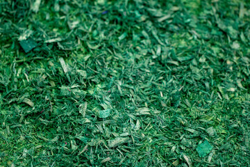 Textura de serragem de madeira. Verde.	
