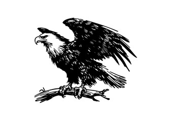 Bald Eagle hand drawn sketch vector illustration